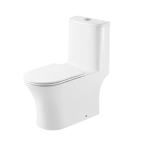 A Complete Guide to Choosing the Right Toilet