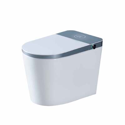S-Trap beheizte Bidet-Toilette Siphonic Intelligente Smart Toilet 390x695x480mm Orin OR2236