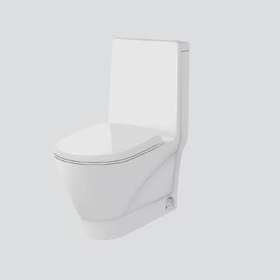 좋은 가격 PP 1피스 변기 워시다운 위생 도기 WC 380x760x840mm Orin ORA2083 온라인으로