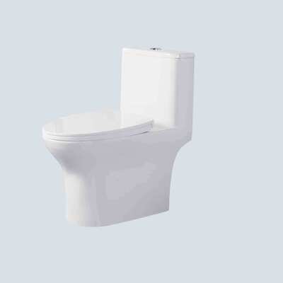 قیمت خوب 370x675x720mm لوازم بهداشتی حمام سفید یک قطعه ضد لکه توالت آنلاین