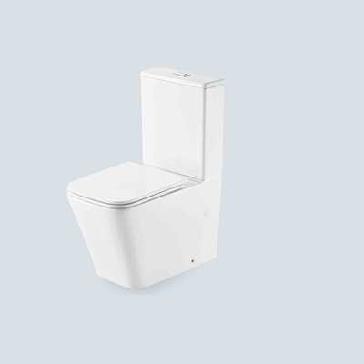 Good price Dual Flush P Trap Toilets 355x630x820mm 2 Piece WC Compact Orin OR8317 online