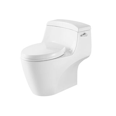 Buon prezzo 505x740x690mm S Trap WC Efficiente Per Bagno in linea