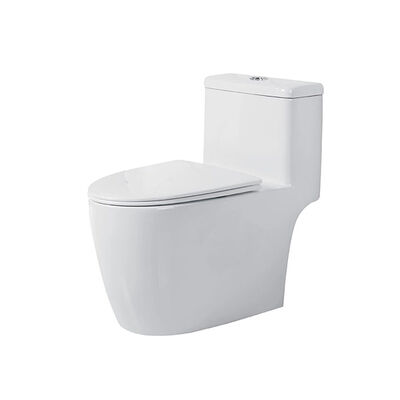 Guter Preis Doppelspül-Toiletten 400x695x690mm Weißes Badezimmer Toilettenfleckfest OR82101 Online