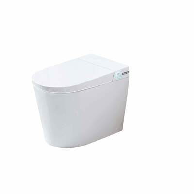Good price Space Saving Modern Smart Toilet Washdown Tornado Flush Toilets Orin ORX51 online
