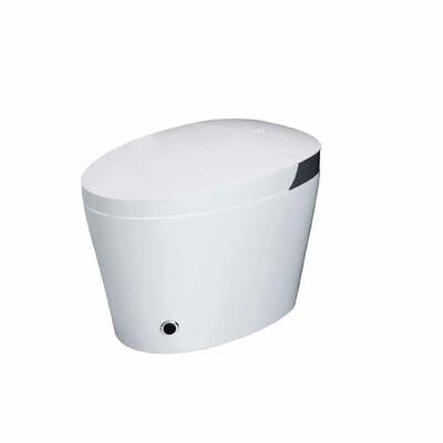 Good price White Siphon Vortex Toilet Remote Control Tankless Toilet For Home online