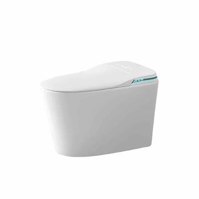 Good price Seat Heating Intelligent Toilet User Friendly Siphonic Flush Toilet Orin ORV70 online