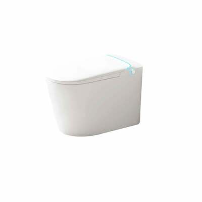 Good price Remote Control Modern Smart Toilet Bathroom Siphonic WC Orin ORU81 online