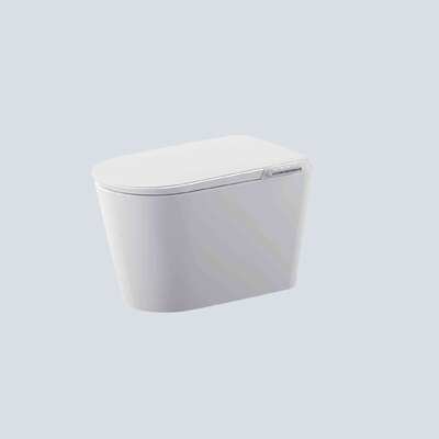 Bom preço Banheiro moderno Produtos sanitários Smart Sifonic Armário de água amigável ao usuário on-line