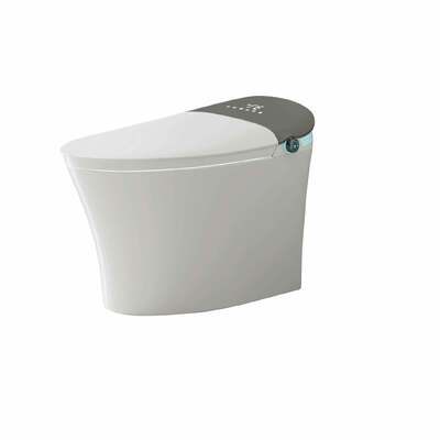 Good price Water Efficient Modern Smart Toilet Quiet Flush Tankless Toilets For Home online