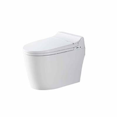ভালো দাম এস ট্র্যাপ বাথরুম আধুনিক টয়লেট 380x670x510 মিমি ট্যাংকবিহীন টয়লেট বিডেট সহ অনলাইন