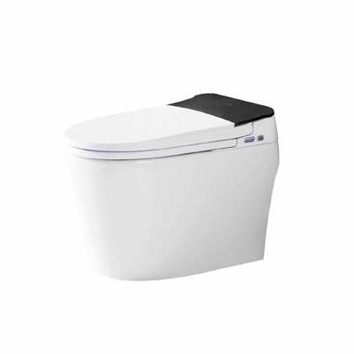 Bon prix Commande à distance Toilette bidet sans réservoir 380x670x490mm Toilette siphonic Pane Orin blanc OR2213 en ligne