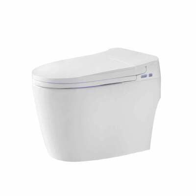 ποιότητας Λευκό Μοντέρνο Έξυπνο Τουαλέτα Τηλεχειριστήριο Μπάνιου Μοντέρνα Τουαλέτα 380x670x490mm Orin OR2230 εργοστάσιο