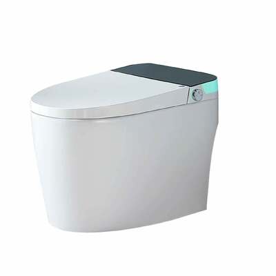 Bon prix Toilet intelligent moderne à faible bruit 405x670x460mm Toilettes à bidet chauffant conviviales Orin OR2308 en ligne