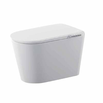 Buon prezzo Bagno automatico sifonico a cappello senza serbatoio Bagno intelligente riscaldato 430x700x460mm Orin ORW11 in linea