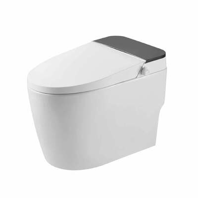 Goede prijs Washdown Modern Smart Toilet 420x675x480mm Toiletten met verwarmde stoelen online