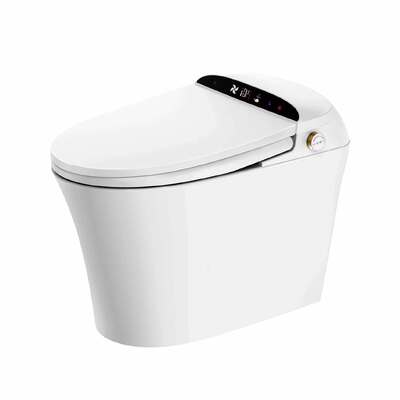 Bom preço Controle remoto WC Caixa sanitária Smart Washdown armário de água 395x675x500mm on-line