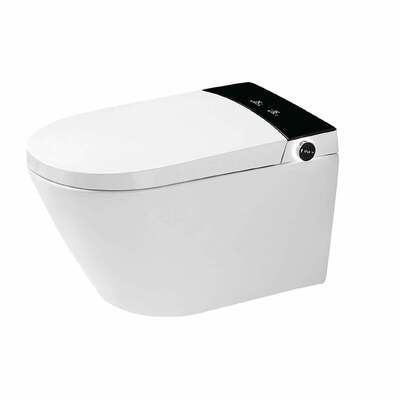 अच्छी कीमत उपभोक्ता के अनुकूल आधुनिक स्मार्ट टॉयलेट सफेद स्थान बचाने वाले शौचालय 400x590x440mm ऑनलाइन