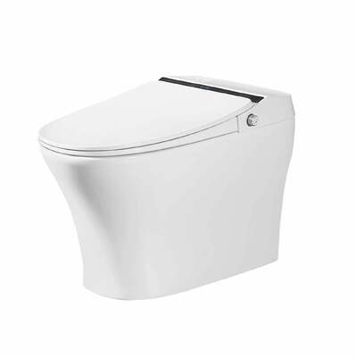 品質 ワンピースモダンなスマートトイレ ユーザーフレンドリーリモコン式トイレ 410x690x475mm Orin OR8111 工場